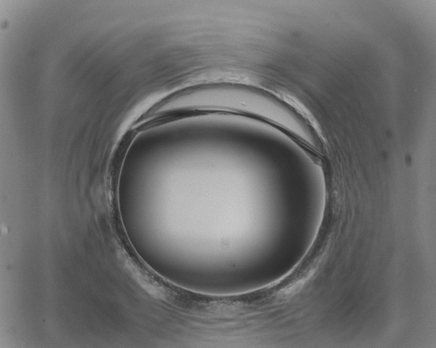 X0000062830981200601201608