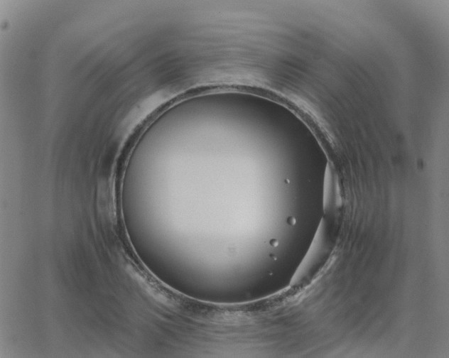 X0000062830982200601201608