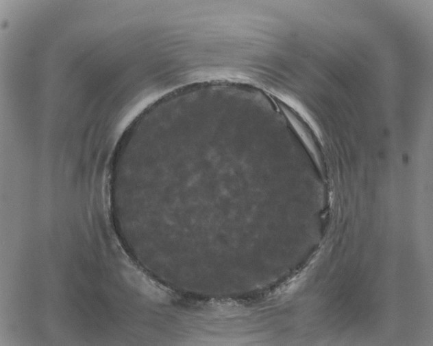 X0000062830983200601201608