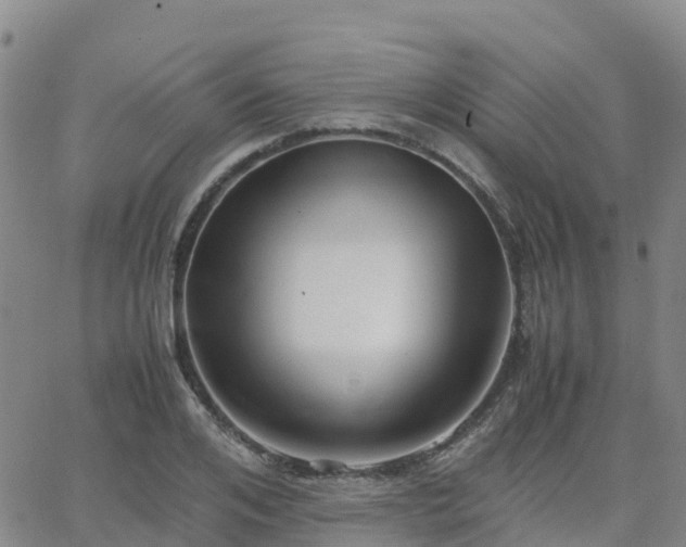 X0000062830984200601201608