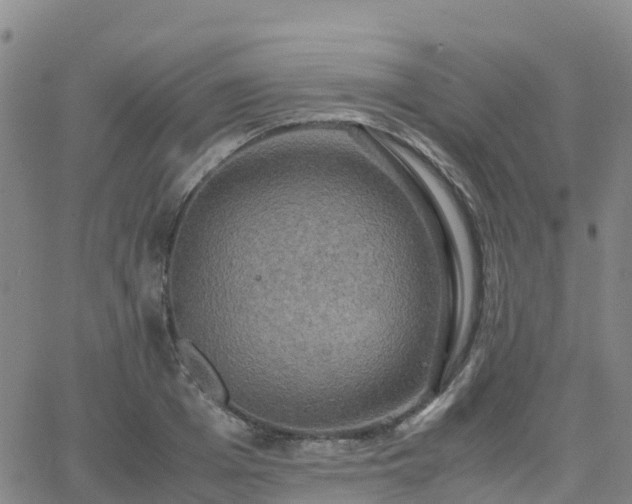 X0000062830985200601201608