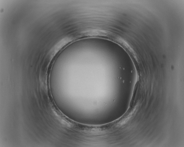 X0000062830986200601201608