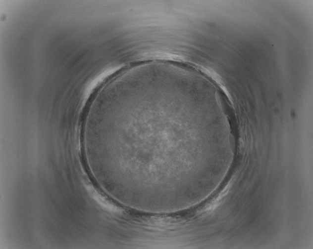 X0000062830987200601201608