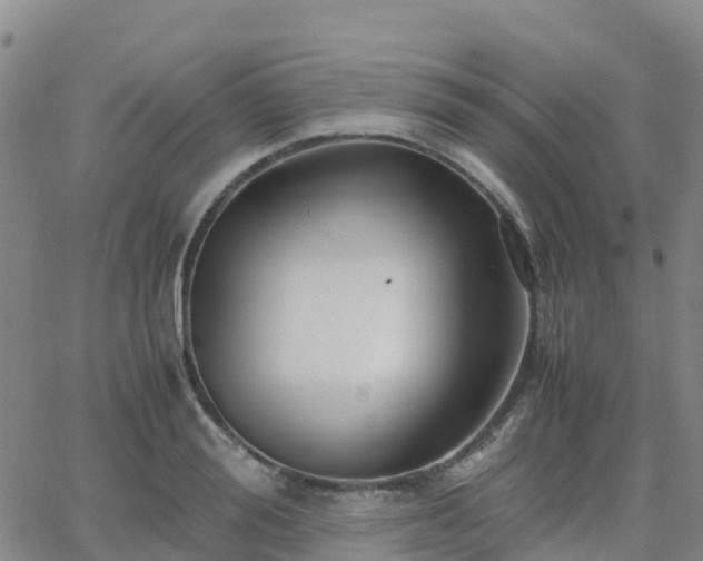 X0000062830988200601201608