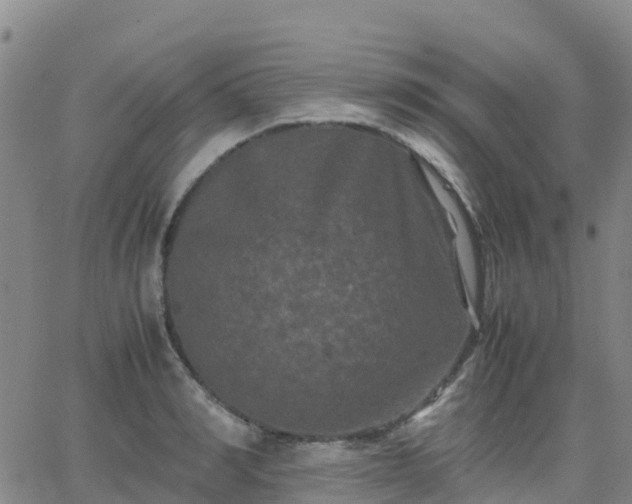 X0000062830990200601201608