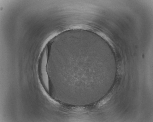 X0000062830991200601201608