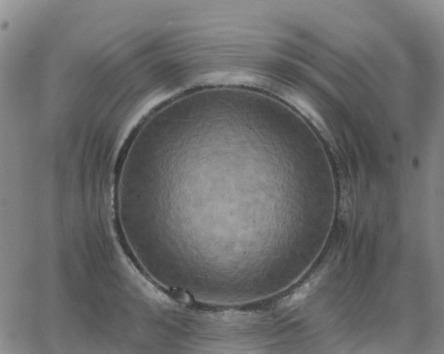 X0000062830992200601201608