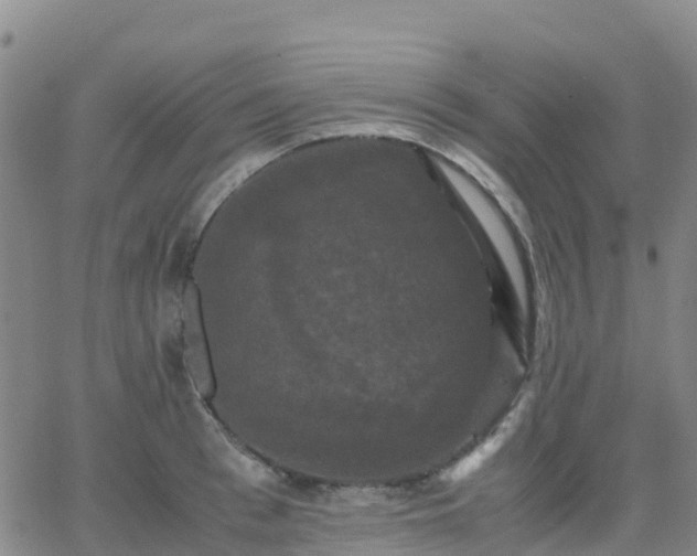 X0000062830993200601201608