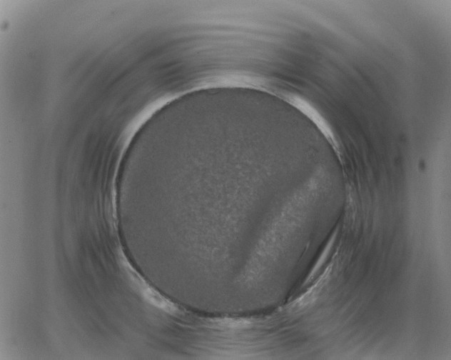 X0000062830996200601201608