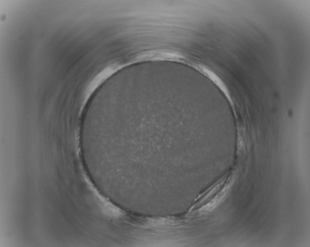 X0000062830997200601201608