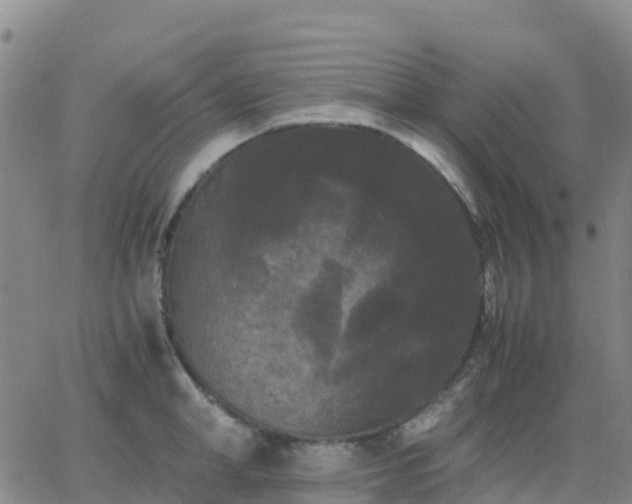 X0000062830998200601201608