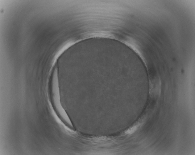 X0000062830999200601201608