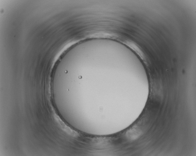 X0000062831000200601201608