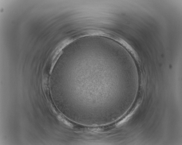 X0000062831001200601201608