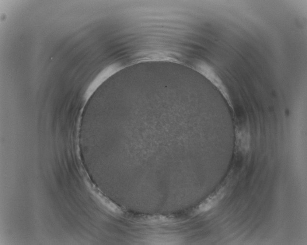 X0000062831002200601201608