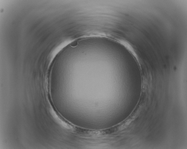 X0000062831003200601201608