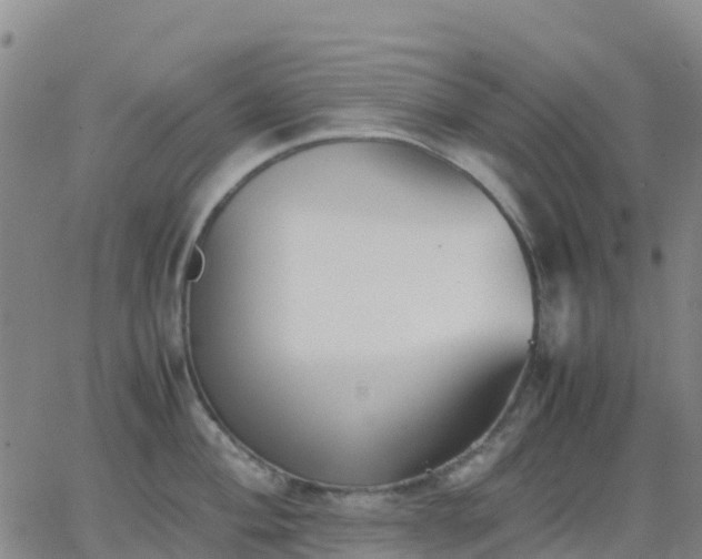 X0000062831004200601201608