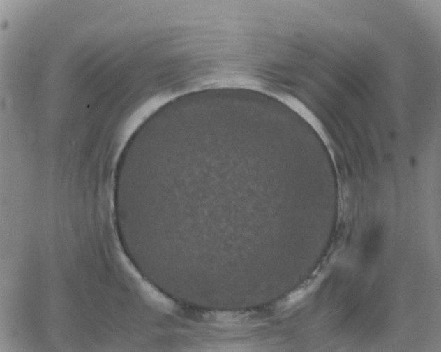 X0000062831005200601201608