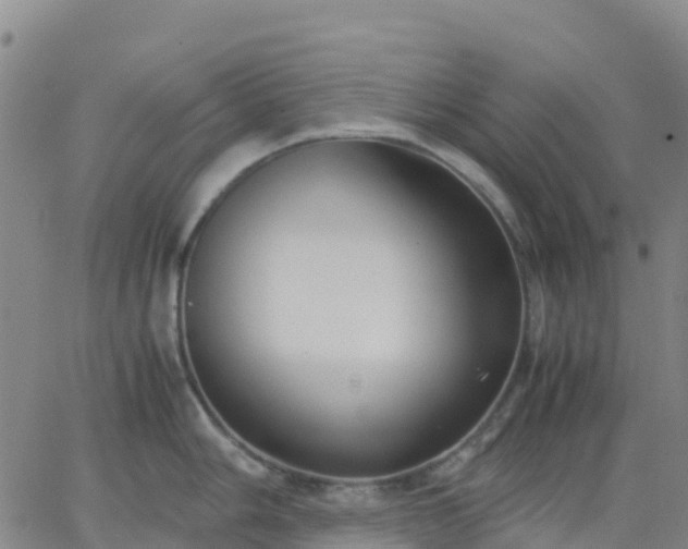 X0000062831006200601201608