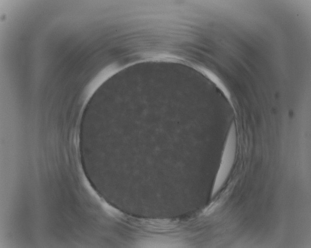 X0000062831007200601201608