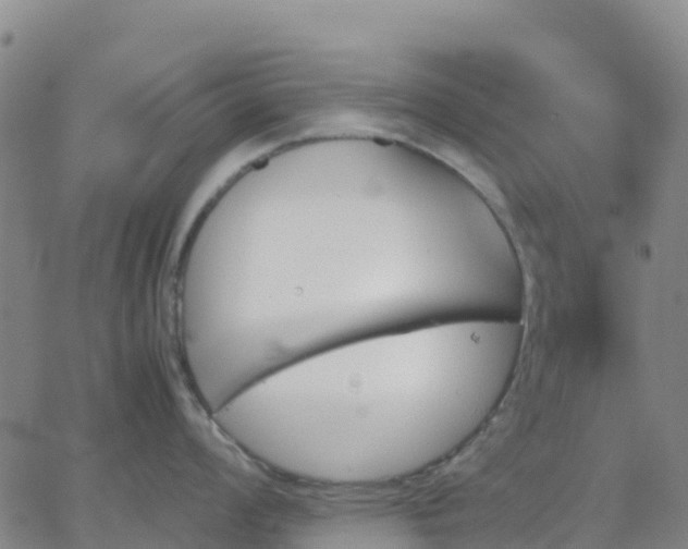 X0000062831008200601201608