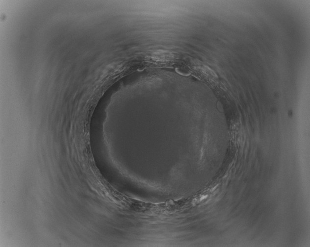 X0000062831009200601201607