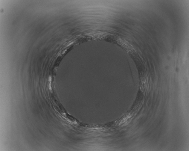 X0000062831010200601201607