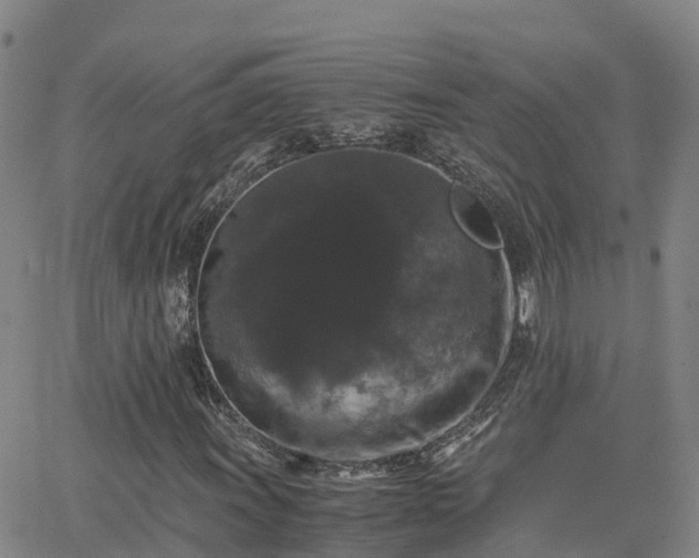 X0000062831011200601201607