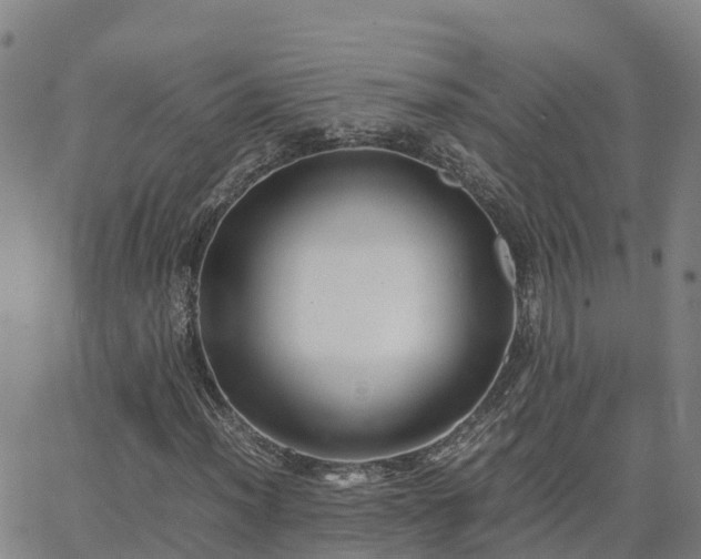 X0000062831012200601201607