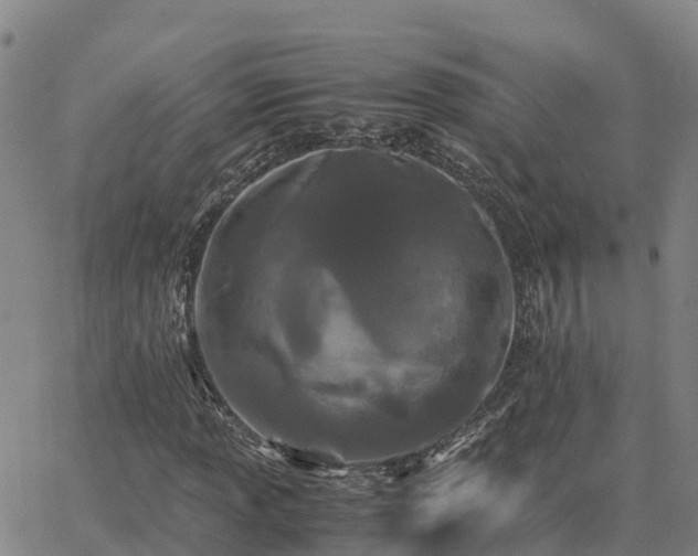 X0000062831013200601201607