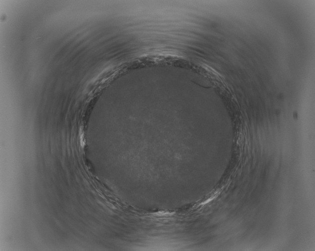 X0000062831014200601201607