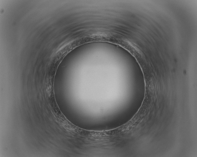 X0000062831015200601201607