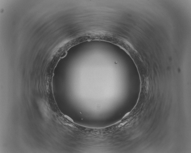 X0000062831016200601201607