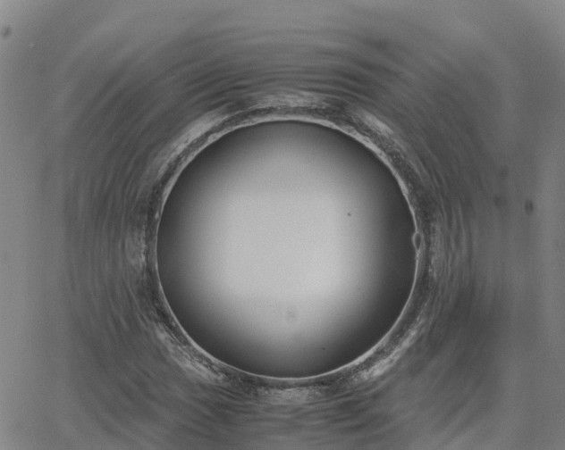 X0000062831017200601201607