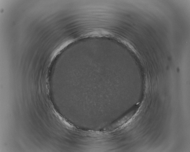 X0000062831018200601201607