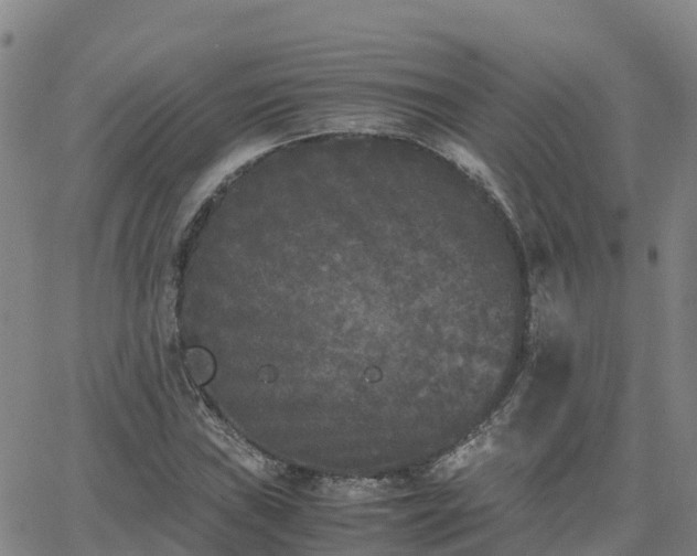 X0000062831019200601201607