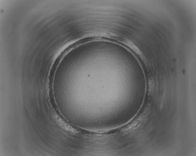 X0000062831020200601201607