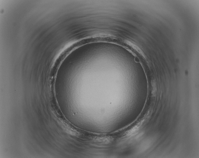 X0000062831021200601201607