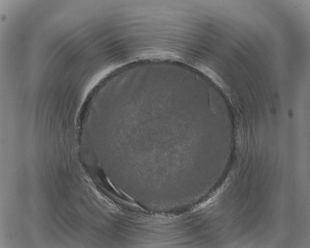 X0000062831022200601201607