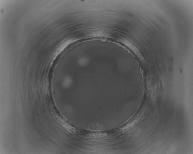 X0000062831023200601201607