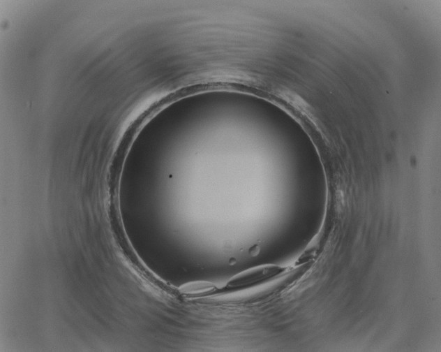 X0000062831024200601201607