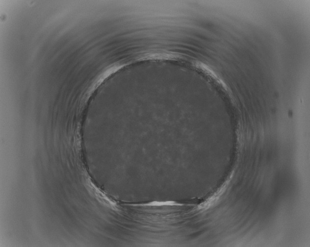 X0000062831025200601201607