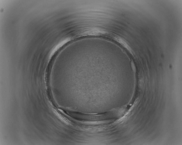 X0000062831026200601201607