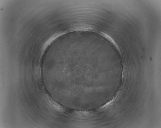 X0000062831027200601201607