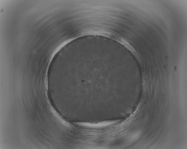 X0000062831028200601201607