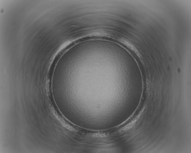 X0000062831029200601201607