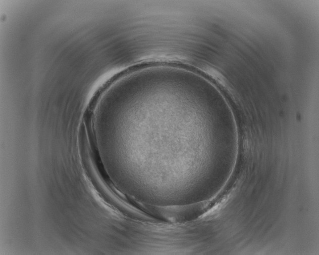 X0000062831030200601201607