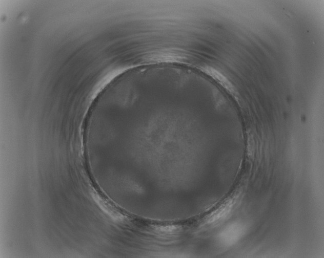 X0000062831031200601201607