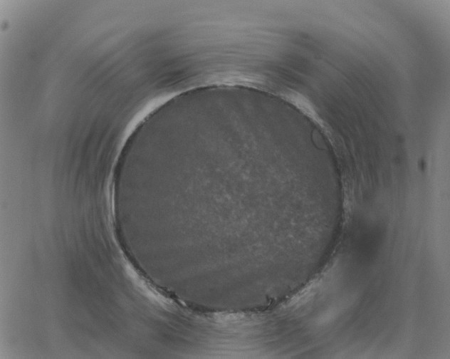 X0000062831032200601201607