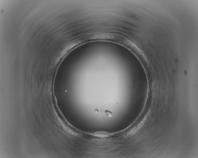 X0000062831033200601201607